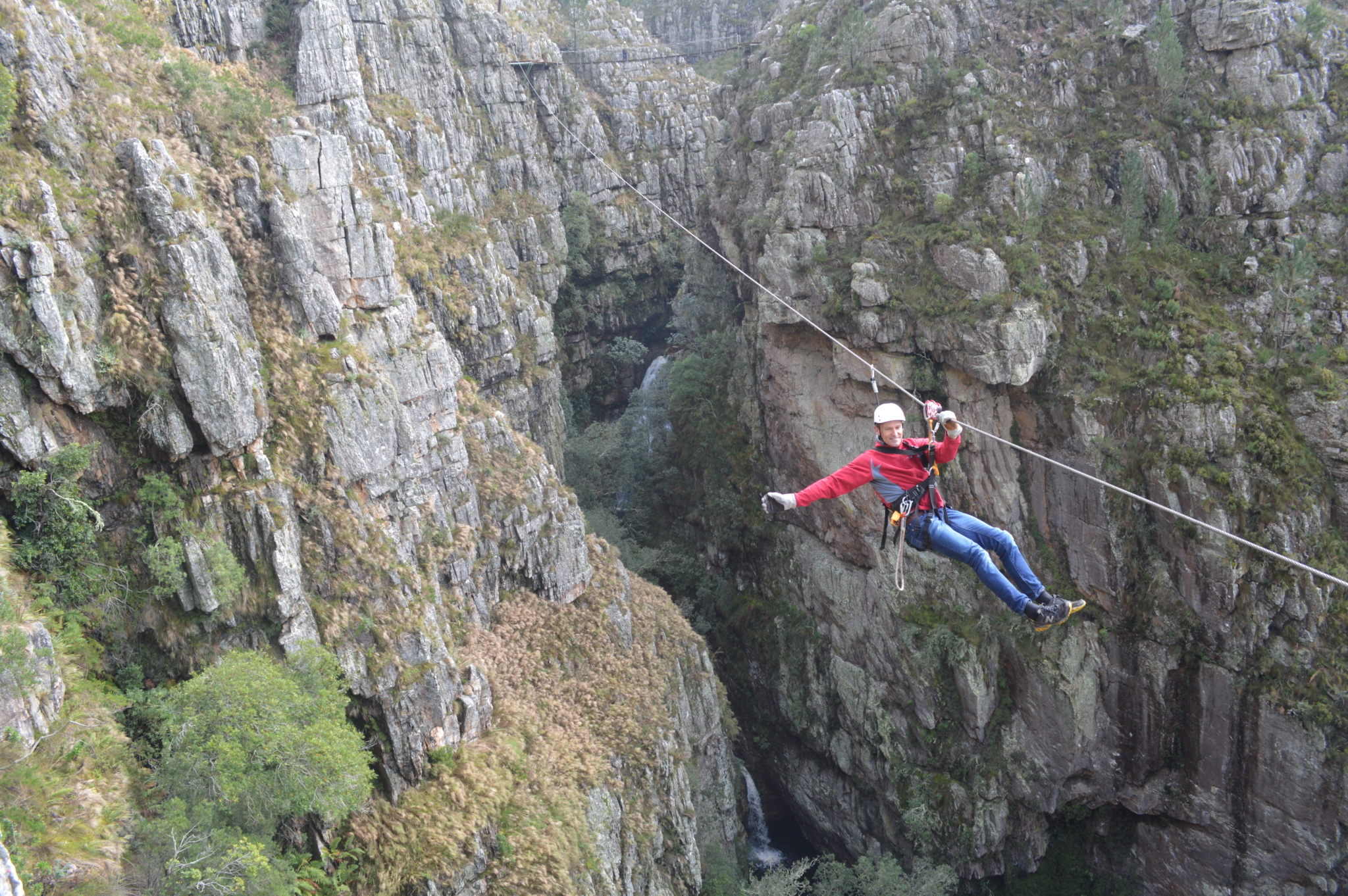 cape canopy tours elgin