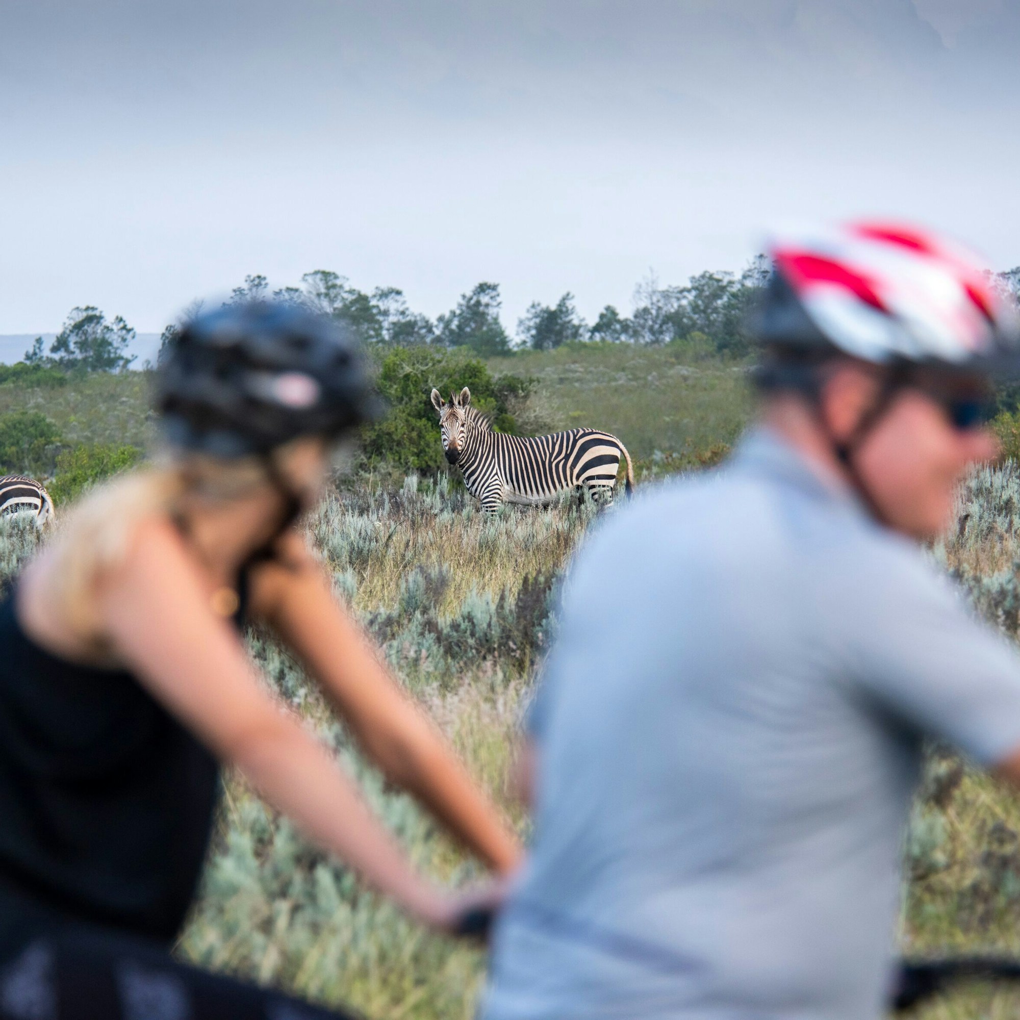 Gondwana MTB Gondwana MTB